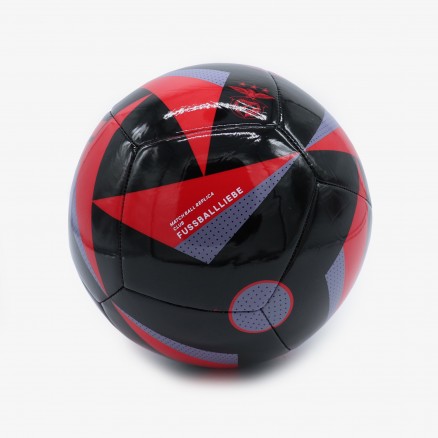 Ballon SL Benfica 2024/25