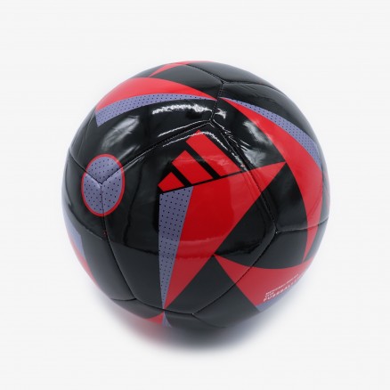 Ballon SL Benfica 2024/25