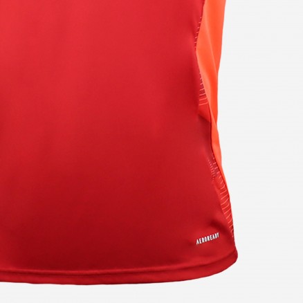 Maillot SL Benfica 2024/25 - Entranement