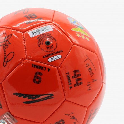 Bola do SL Benfica Autografada