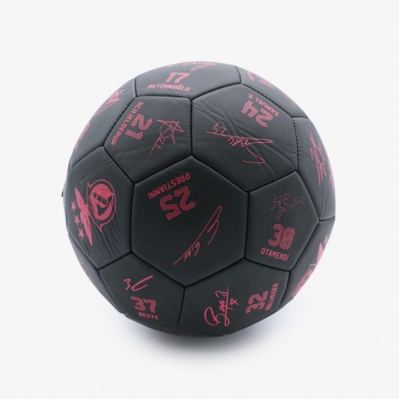 Bola do SL Benfica Autografada