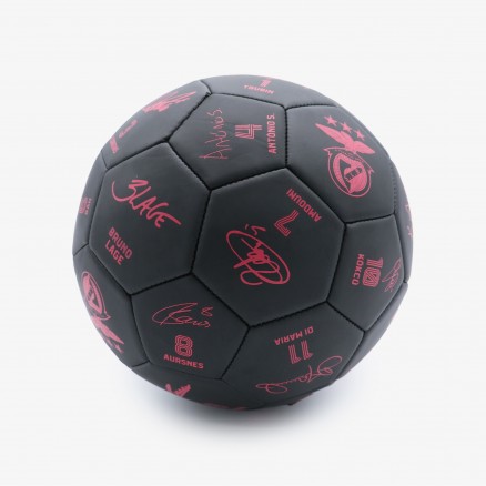 Bola do SL Benfica Autografada