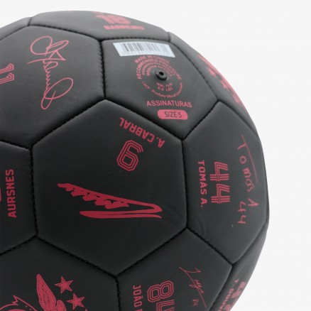 Bola do SL Benfica Autografada