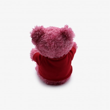 Ours en peluche