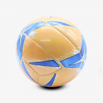 Bola FC Porto 2024/25 - Geodesa Training