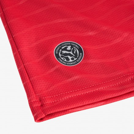 Camisola Principal Portugal FPF 2026 - RONALDO - Manga Comprida Camisola Principal Portugal FPF 2026 - RONALDO - Manga Comprida