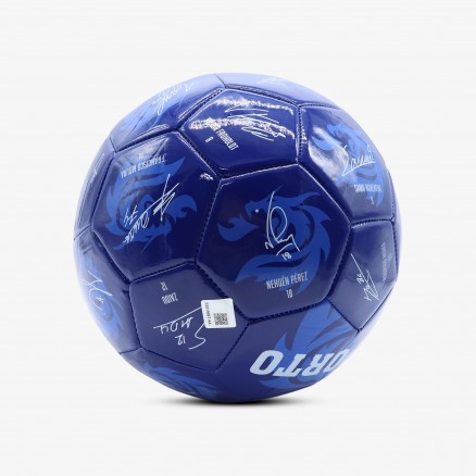 Autographed FC Porto ball Autographed FC Porto ball
