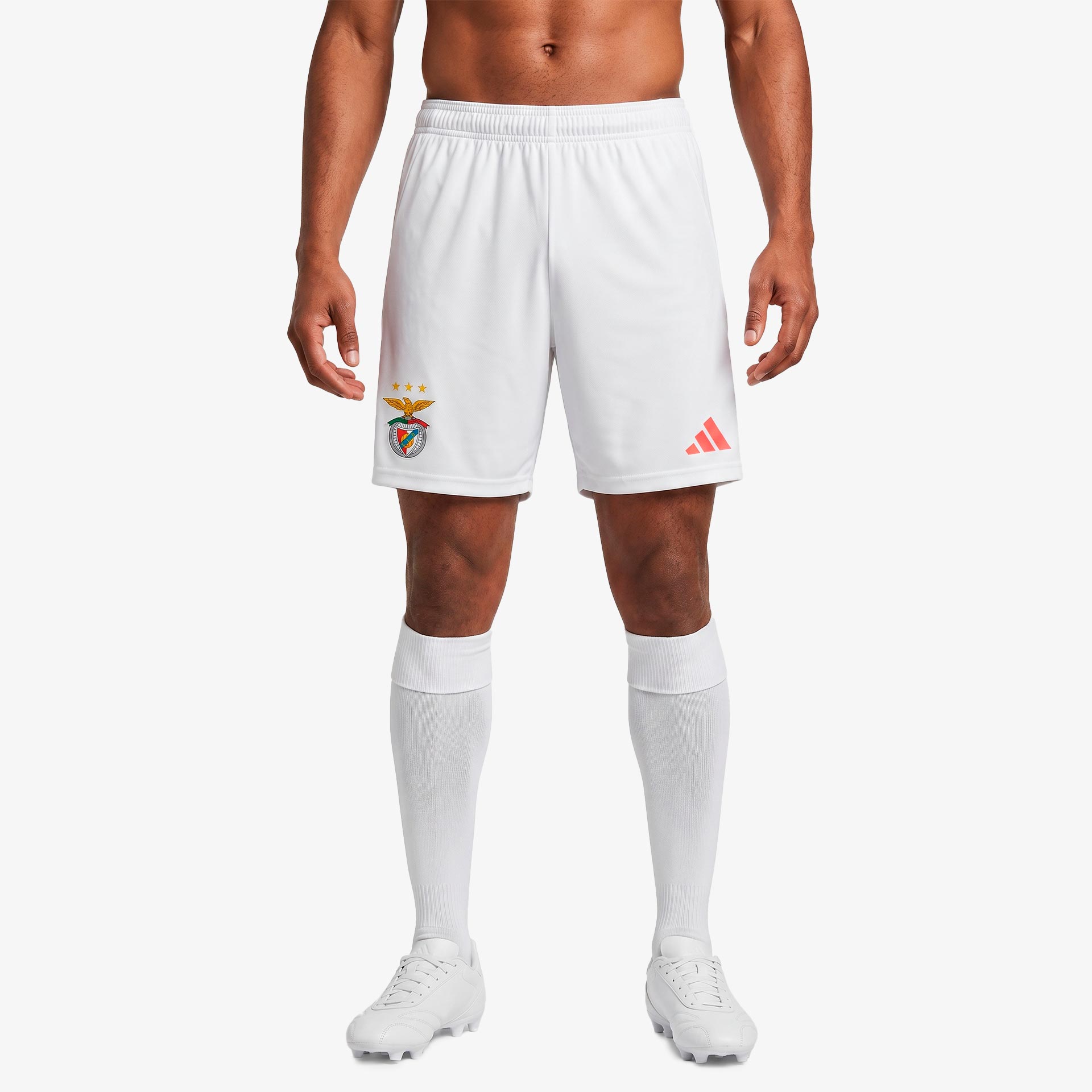 SL Benfica 2024/25 Shorts - Home