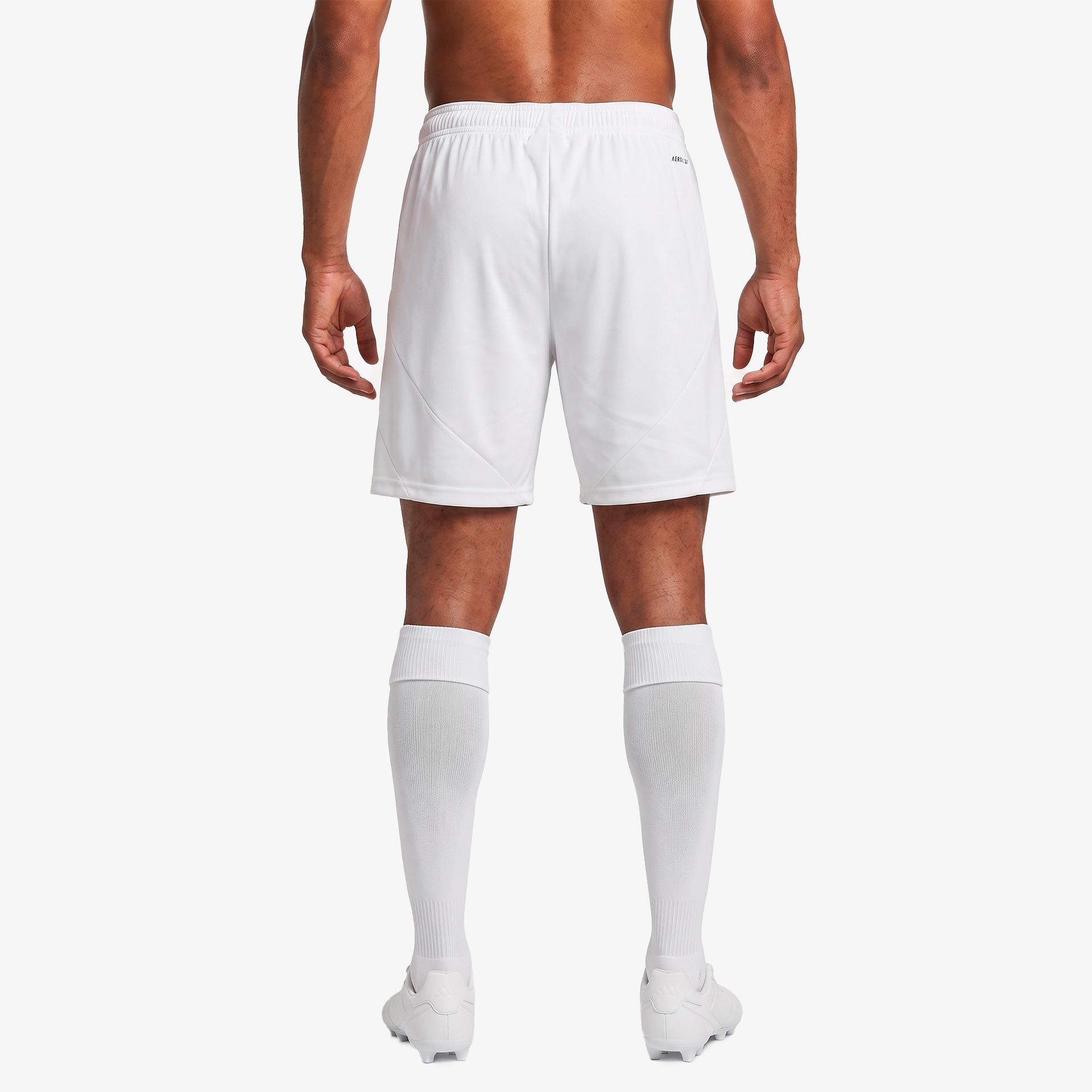 SL Benfica 2024/25 Shorts - Home