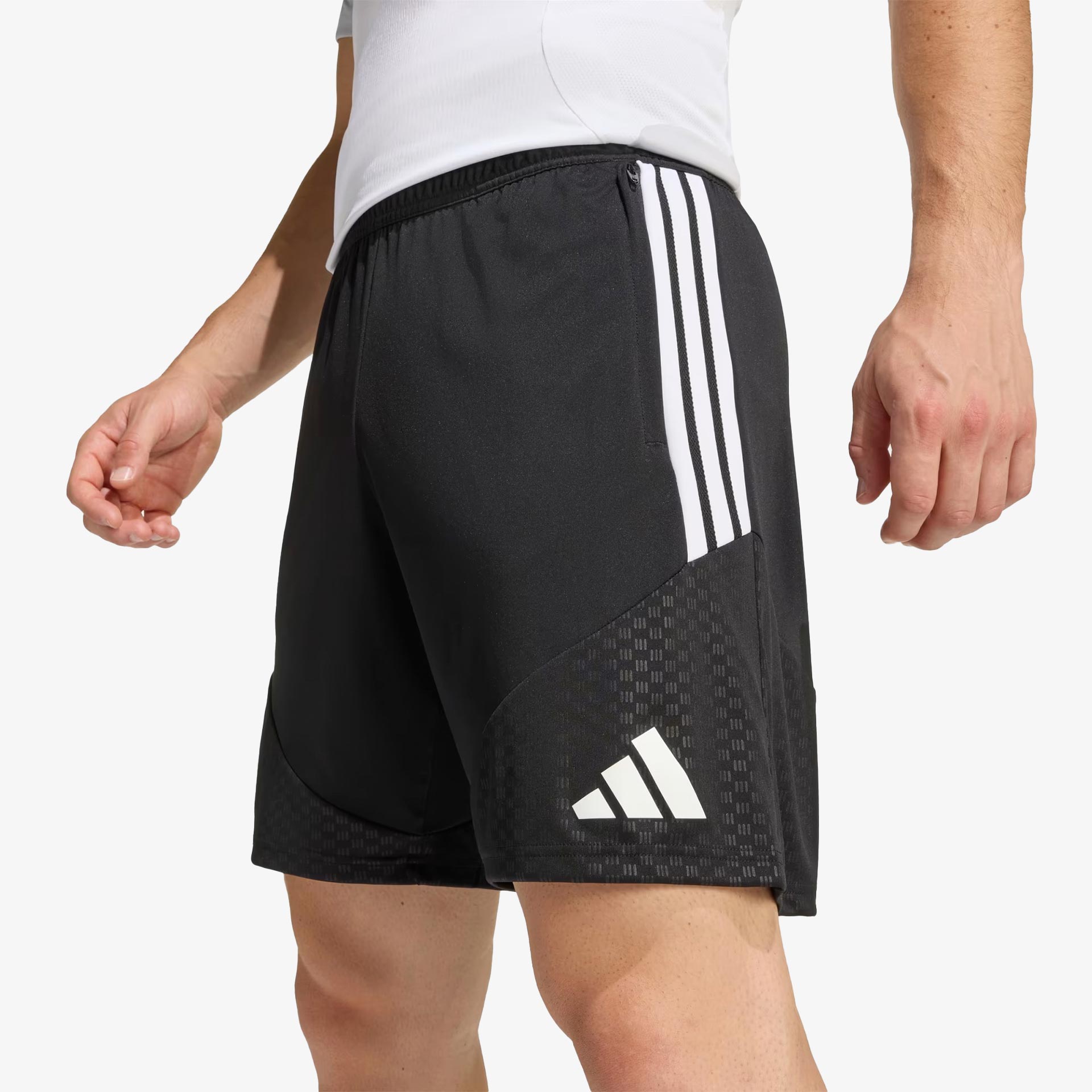 SL Benfica Training Shorts - Staff