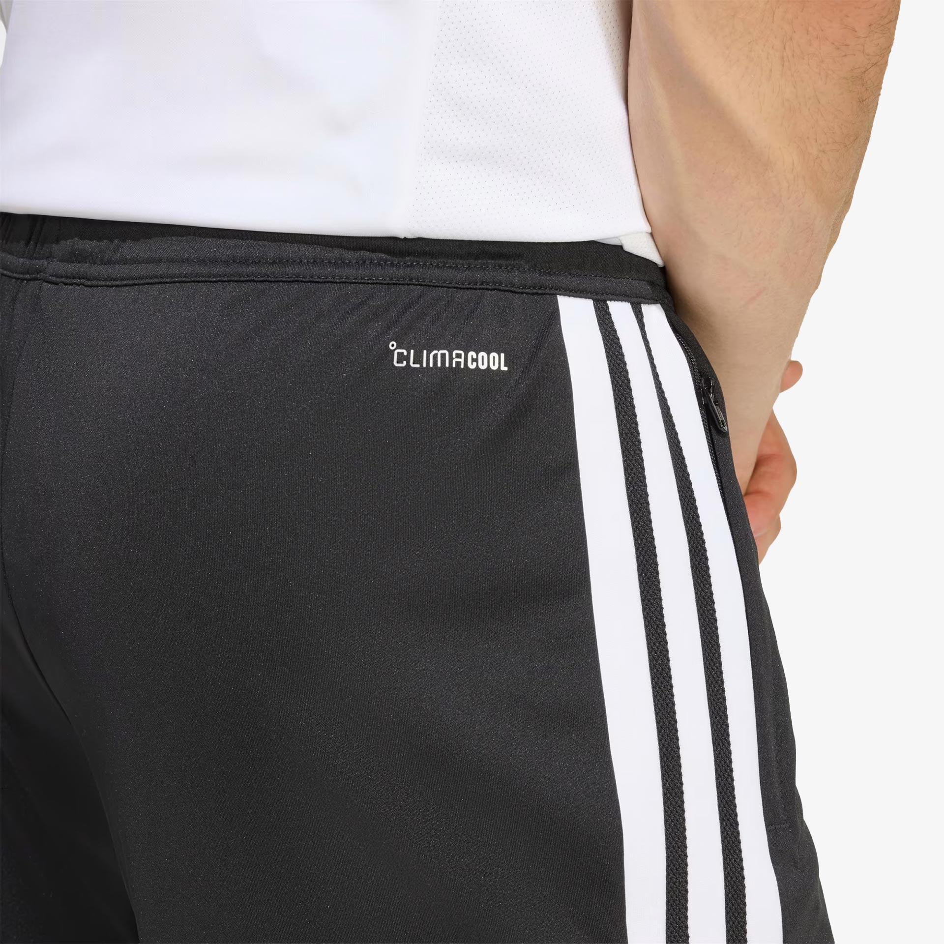 SL Benfica Training Shorts - Staff