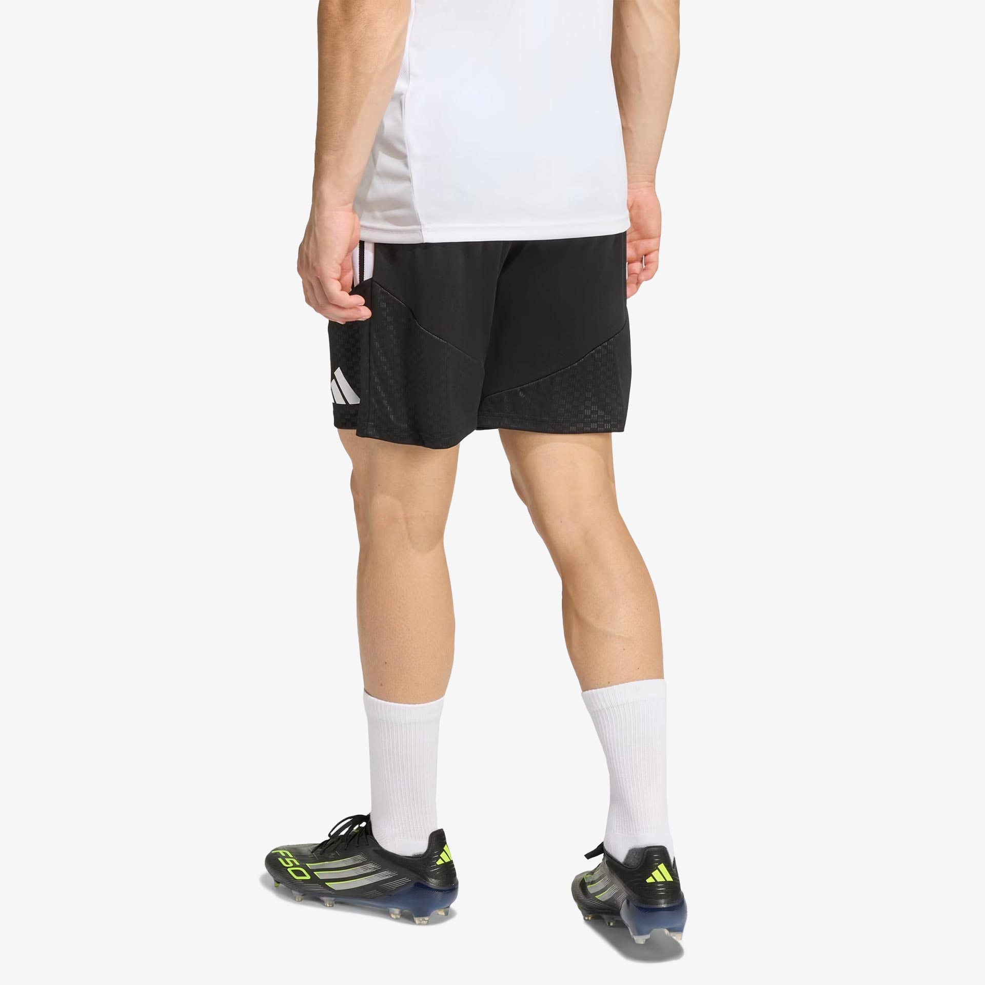 SL Benfica Training Shorts - Staff