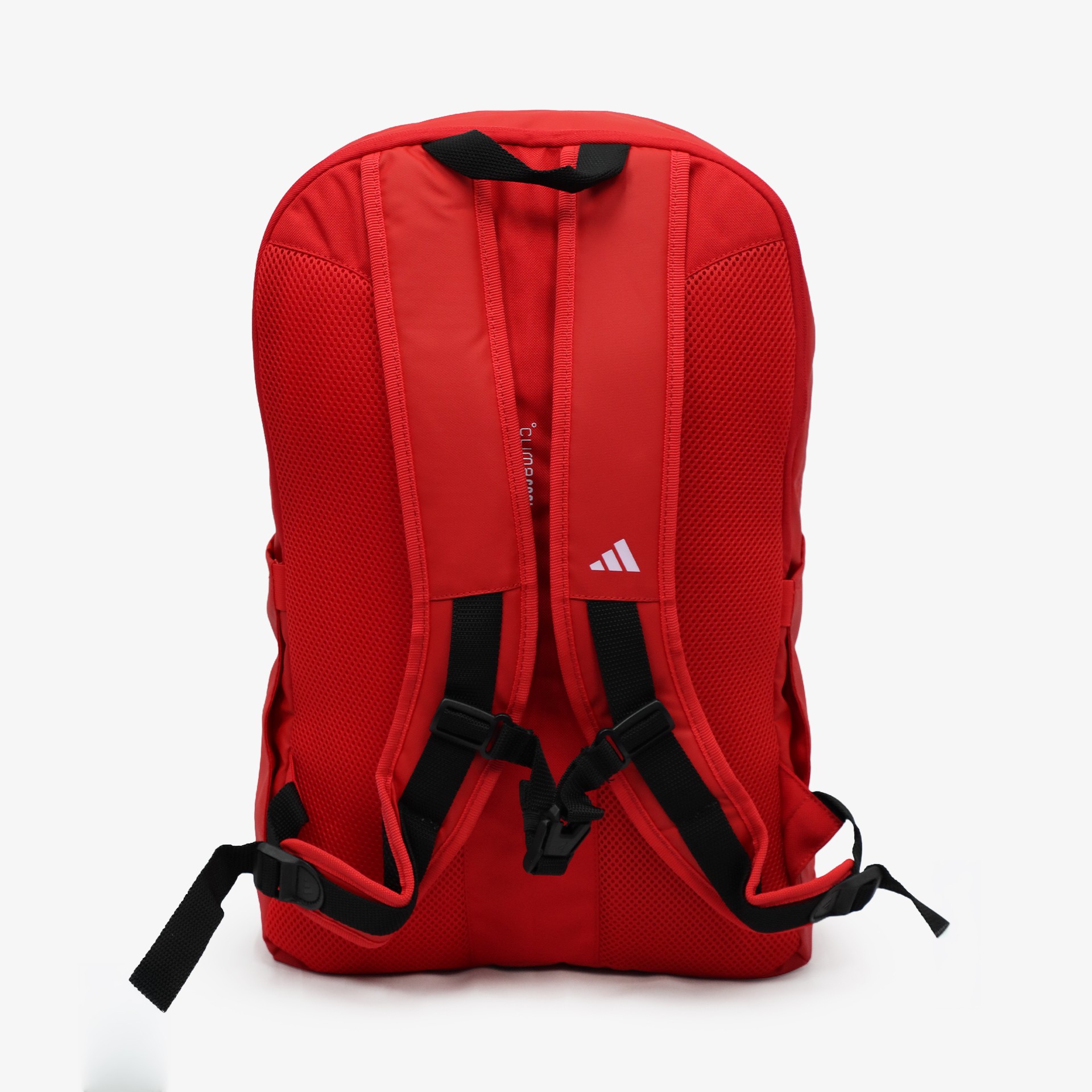 SL Benfica backpack
