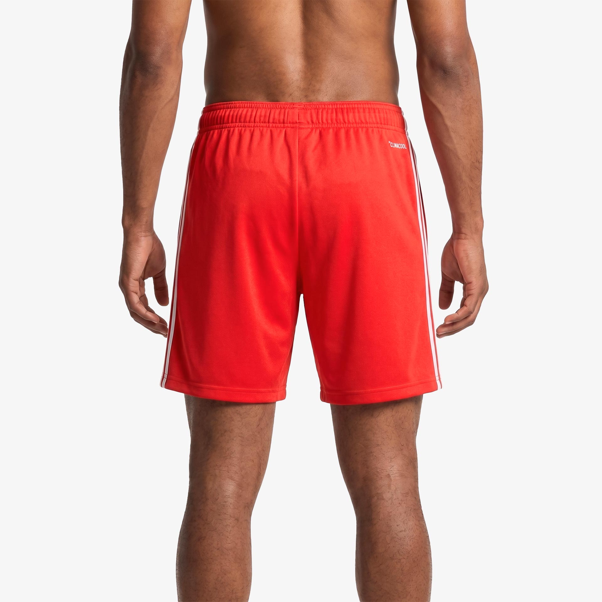 SL Benfica 2026/27 Away Shorts - Adidas Originals - Red