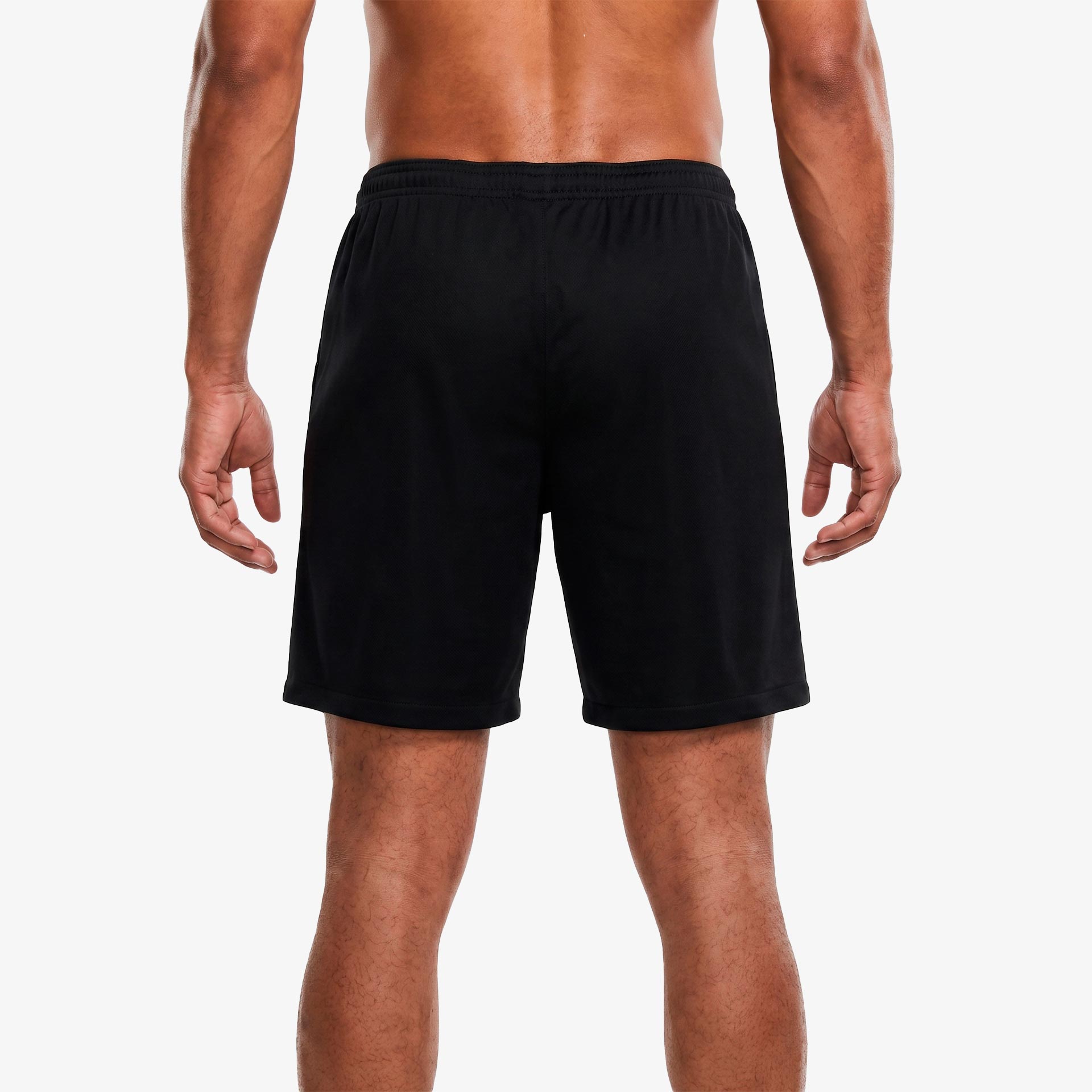 Sporting CP 2025/26 Shorts - Stromp